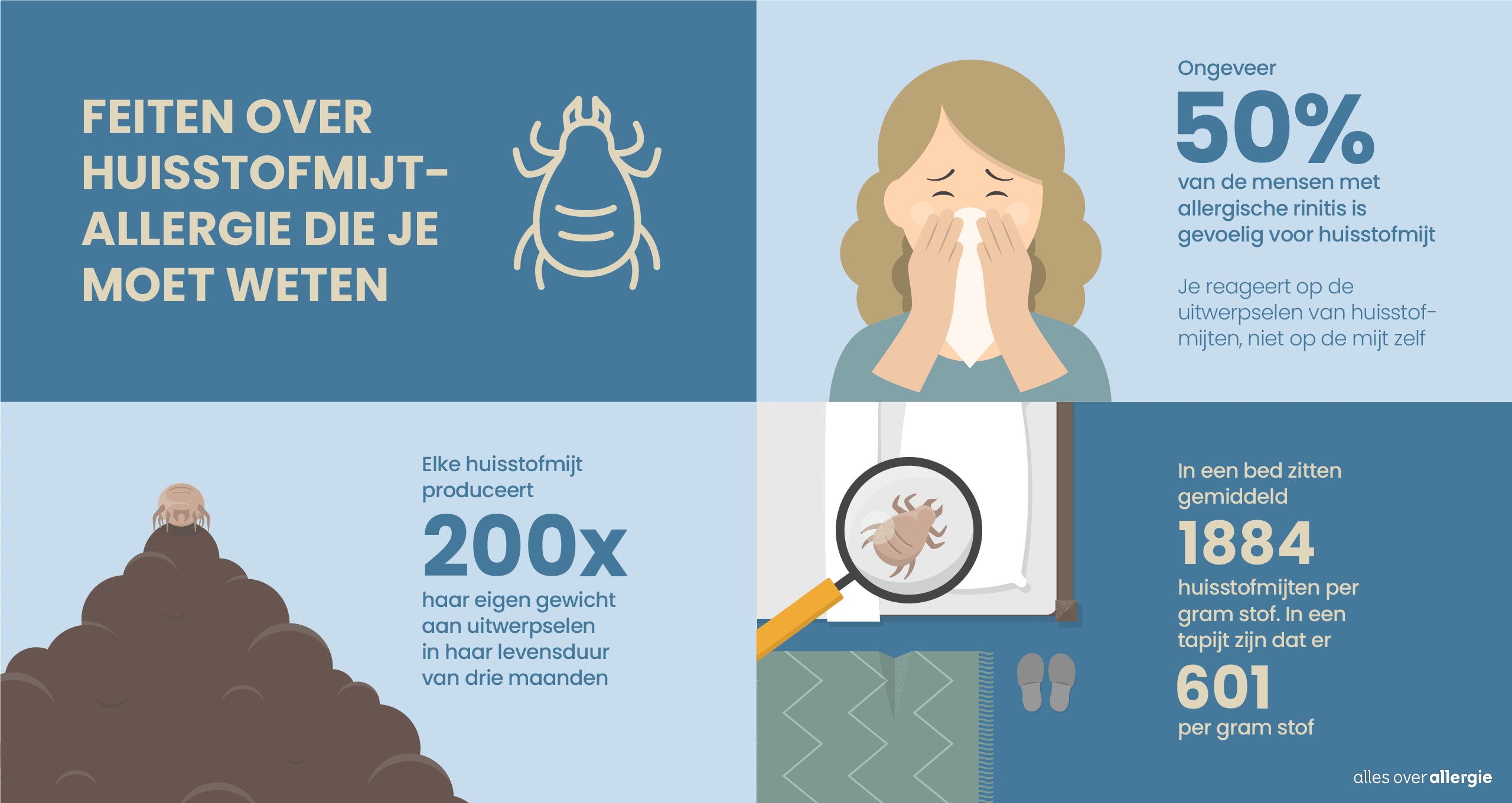 Infographic met feiten en cijfers over huisstofmijtallergie, waaronder hoe vaak het voorkomt en wat een reactie uitlokt